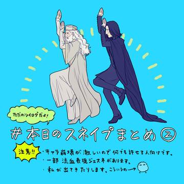 本日のスネイプまとめ②