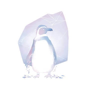penguin
