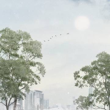 snowy street 눈의 거리