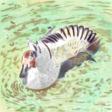 翼ファサー鳥さん（デジタル絵2号、水彩画1号）