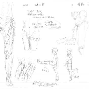 2020骨メモまとめ手足