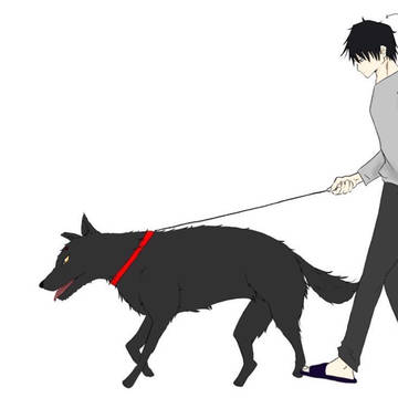 伏黒甚爾
