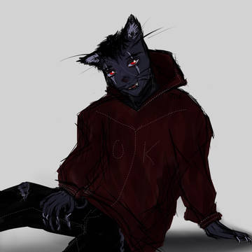 the black cat lazerik