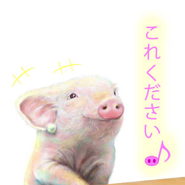 豚に真珠