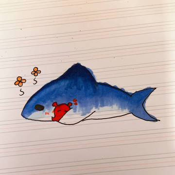サメとメンダコのお昼寝(_ _).｡o○