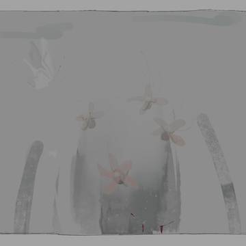20210311