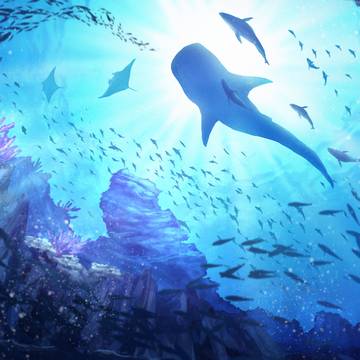 blue aquarium