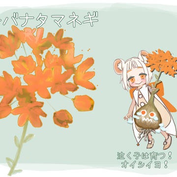 【PFMOH】キバナタマネギ