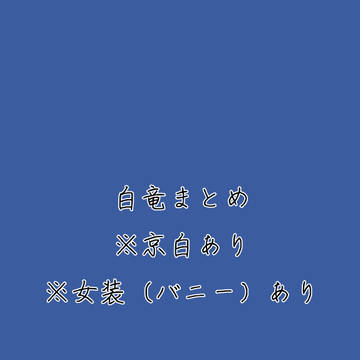 白竜まとめ