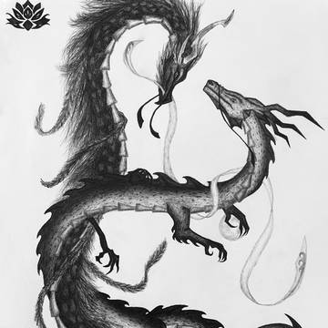 Wangxian dragons