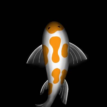Orange Carp Fish