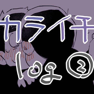 カライチlog②