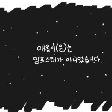 슬픈 고양이 모음집 엠케이투