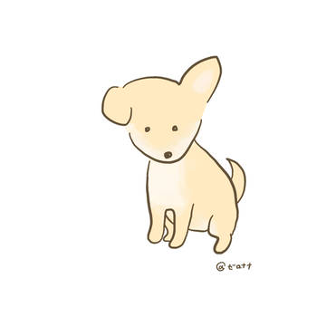 こいぬ