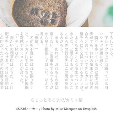 自家通販のお知らせ+カミュ蘭SSまとめ