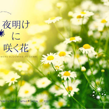 【新刊完売しました】『夜明けに咲く花』TM15 東京