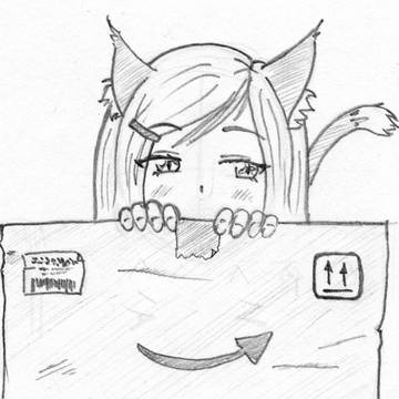 Cat-In-A-Box