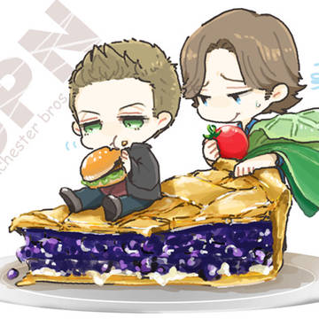 SPNログ