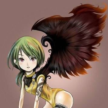 片翼少女