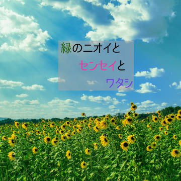 ミドリ