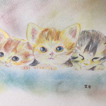 仔猫2