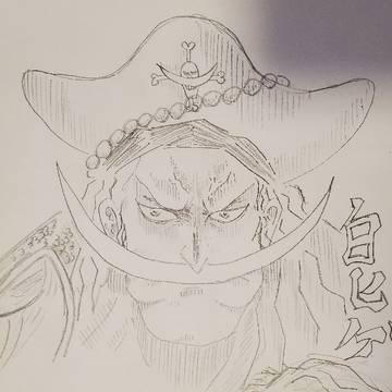 白ひげ再掲