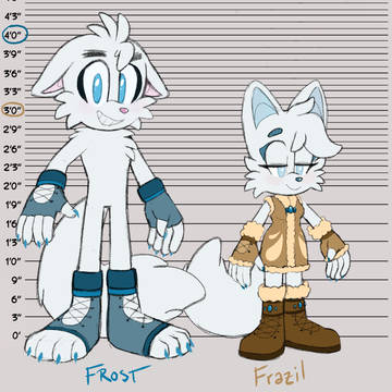 Frost and Frazil