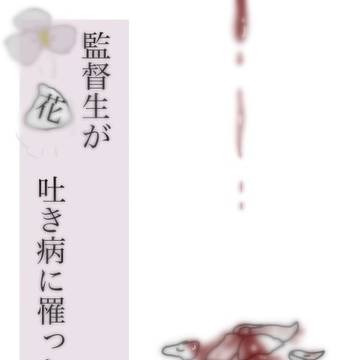 次の小説の表紙