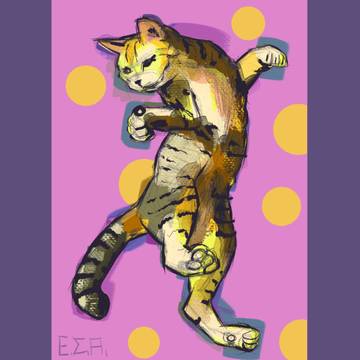 little cat