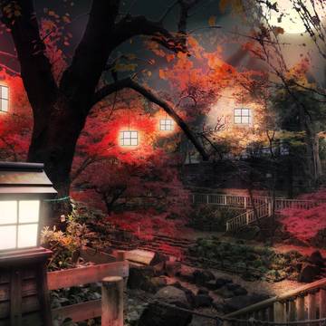 疑似紅葉