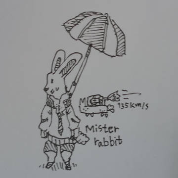 mister rabbit