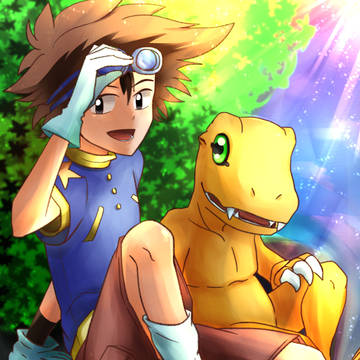 Best Partner