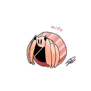 Hermit Crab