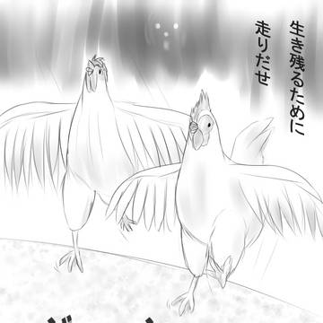 チキンレース