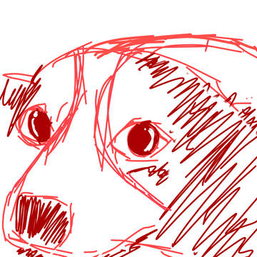私の愛犬