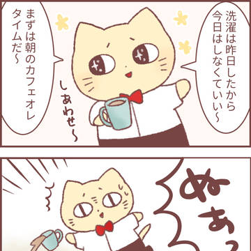 ねこじろうと洗濯