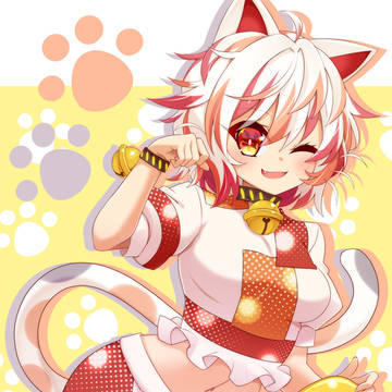 新入り猫