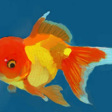 Goldsifh