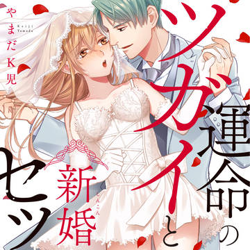 【商業】運命のツガイと新婚発情セックス