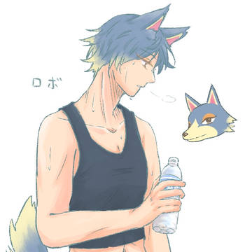 ロボ あつ森