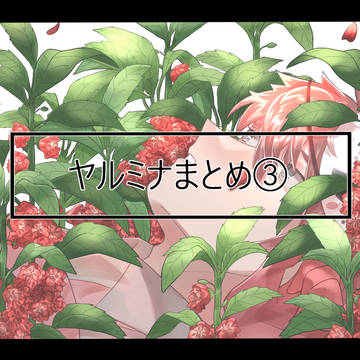 ヤルミナまとめ③