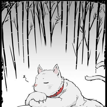 【3文字リク】猫の上にも三年【猫✕猫】