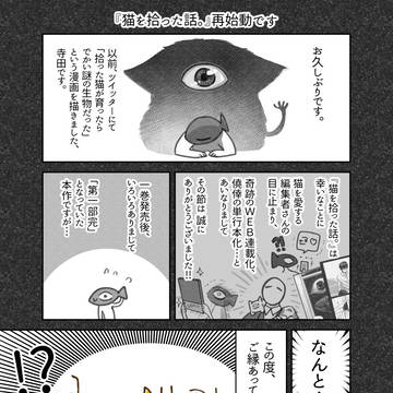 猫を拾った話。再始動です