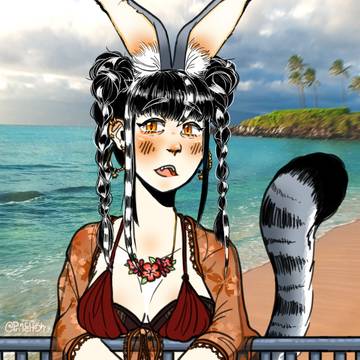 海