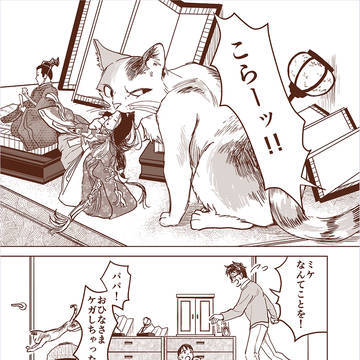 猫が雛人形を壊してしまう話