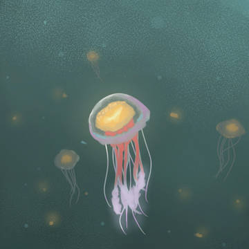 Jellyfish