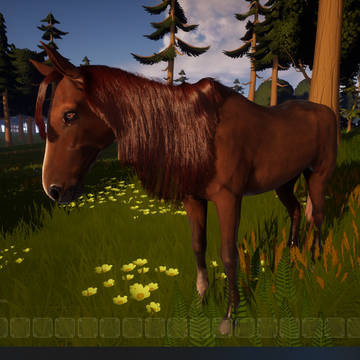 Horse <3 (video in description)