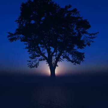 world tree