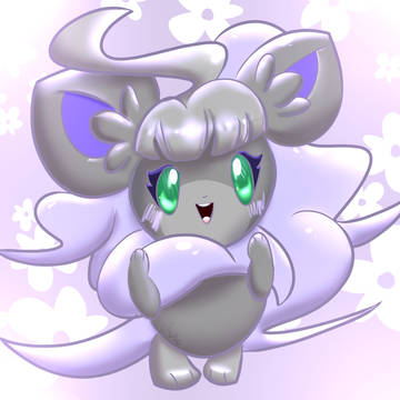Cinccino Jaylie