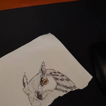 ミミズク